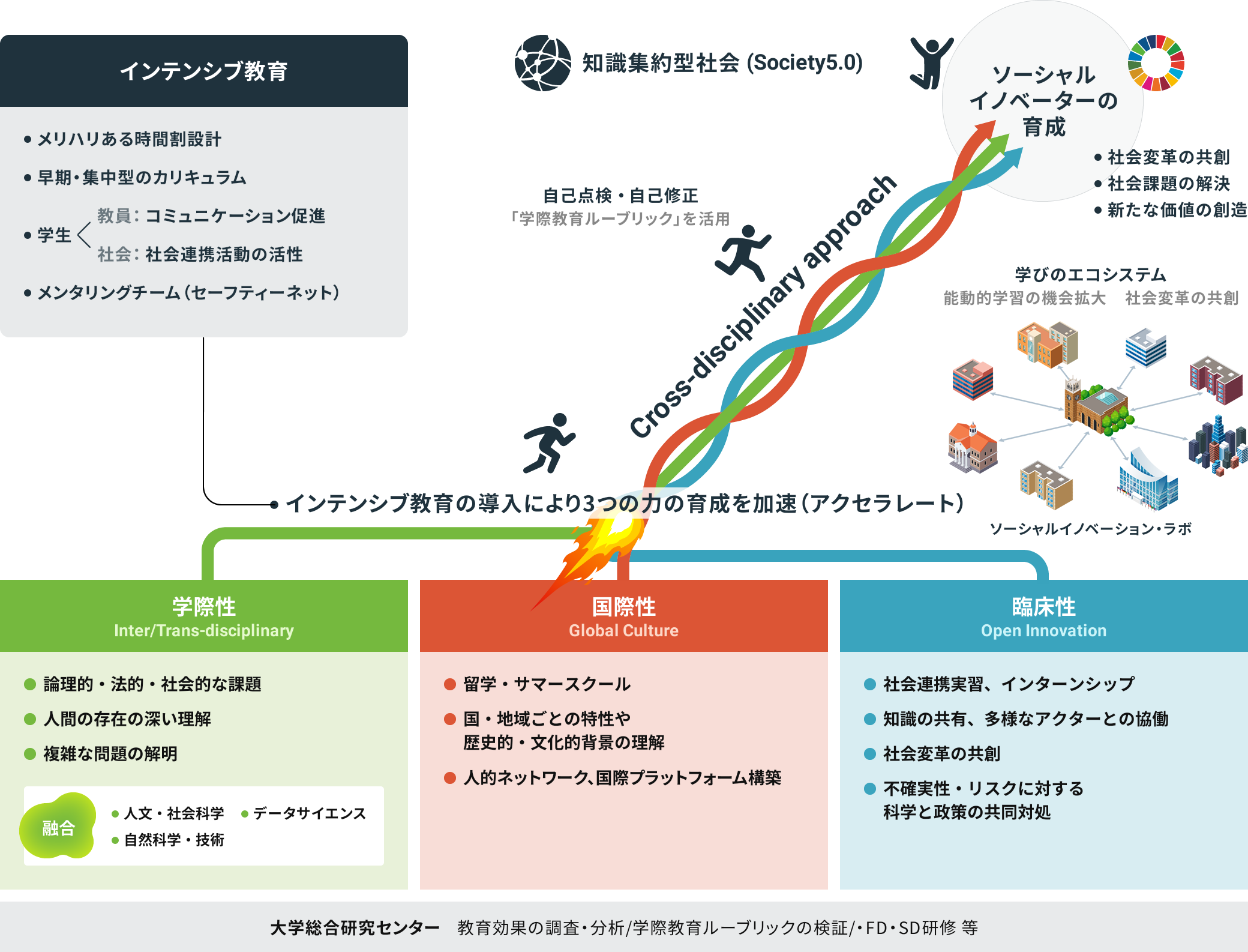 ソーシャルイノベーション・アクセラレートプログラムの概要